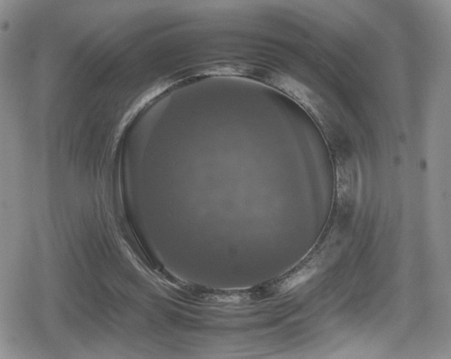 X0000080750349200612151320