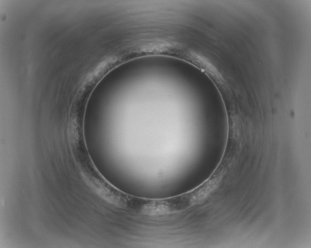 X0000080750354200612151320