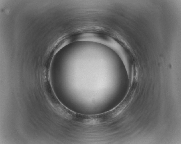 X0000080750356200612151320