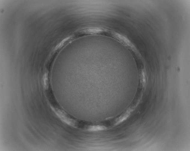 X0000080750360200612151320