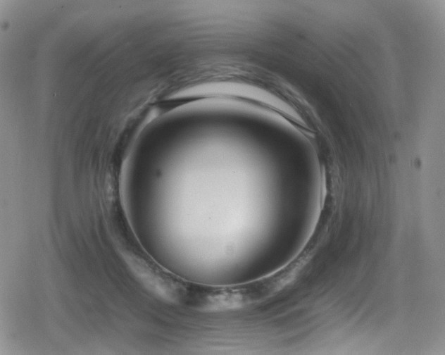 X0000080750362200612151320