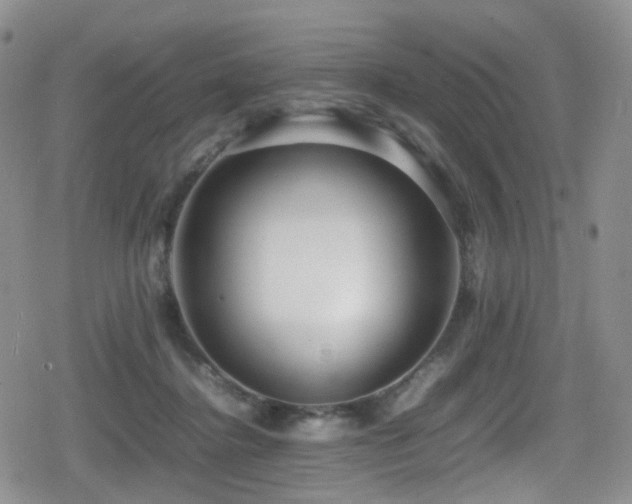 X0000080750364200612151320
