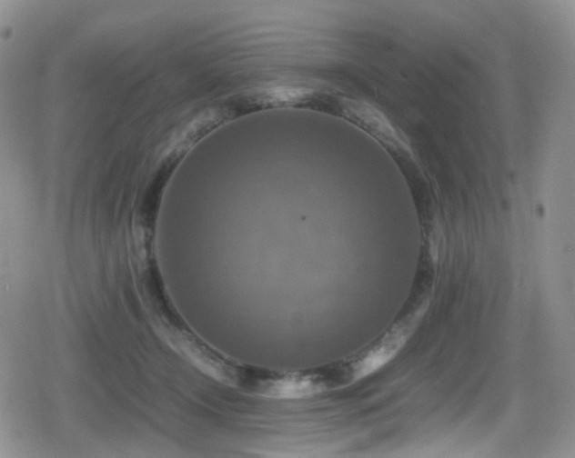 X0000080750366200612151320