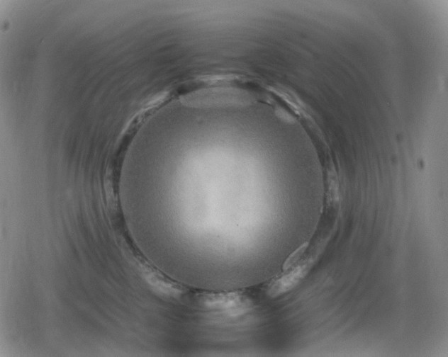 X0000080750377200612151320