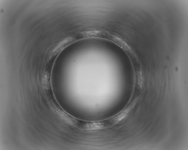 X0000080750378200612151320
