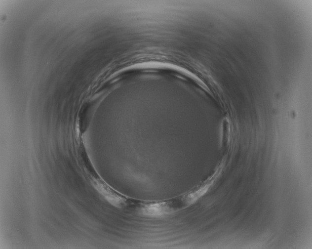 X0000080750382200612151321