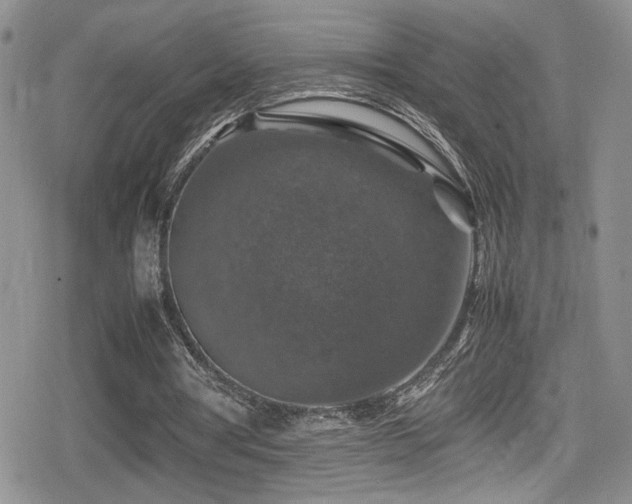 X0000080750386200612151320
