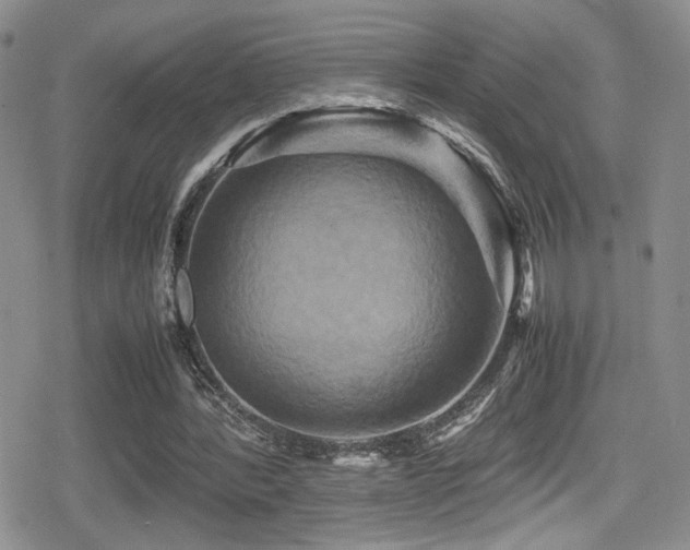 X0000080750388200612151320