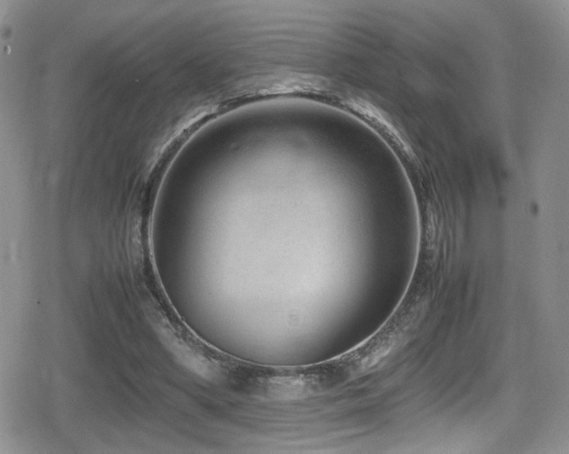 X0000080750394200612151320