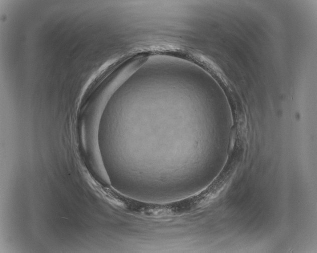 X0000080750395200612151320