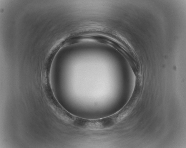 X0000080750403200612151320