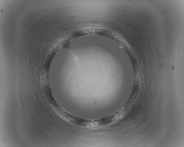 X0000080750411200612151319