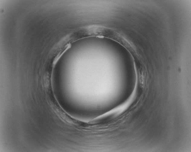 X0000080750413200612151319