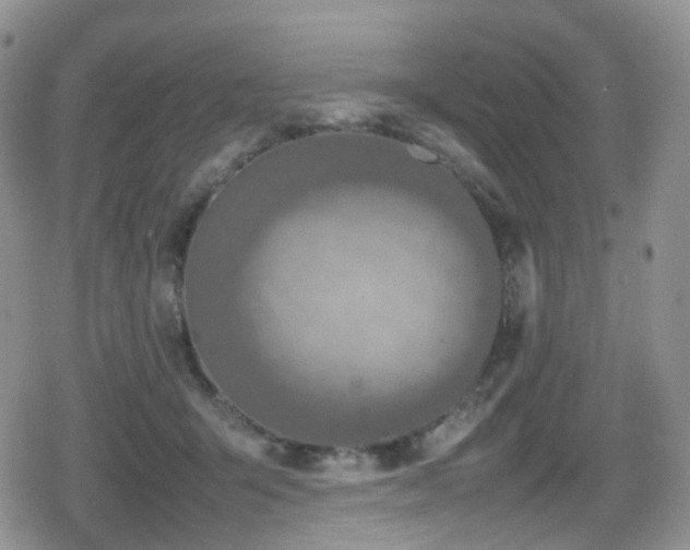 X0000080750415200612151319