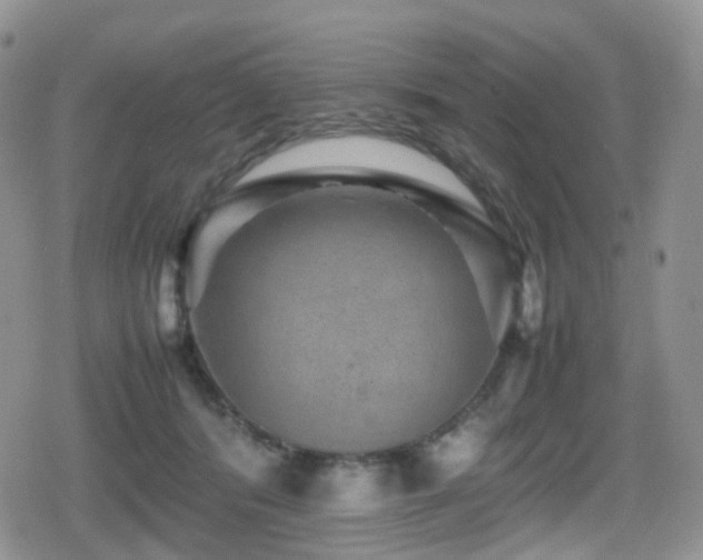 X0000080750416200612151319