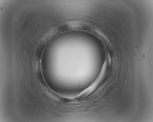 X0000080750417200612151319