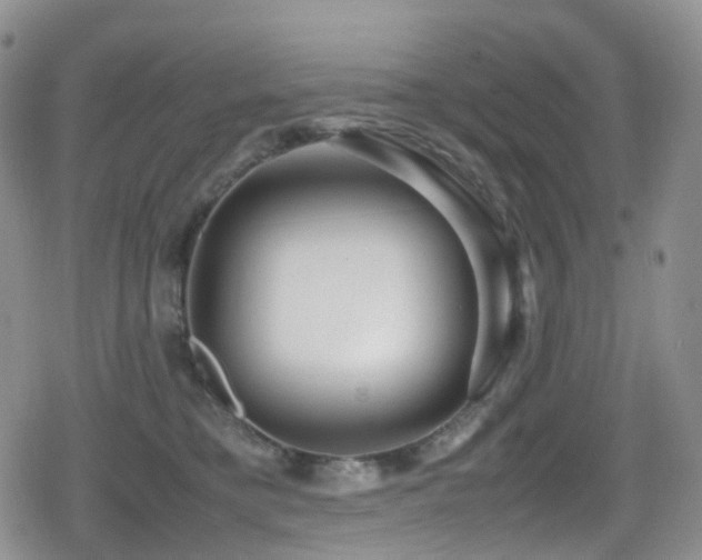 X0000080750421200612151319