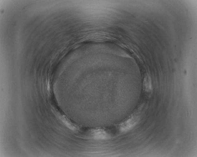 X0000080750424200612151319