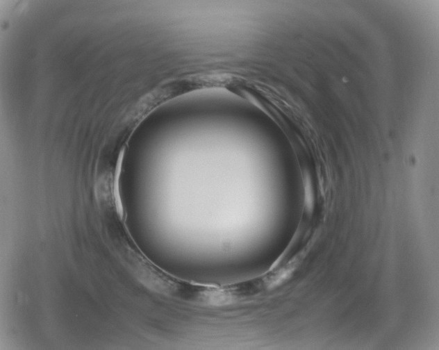 X0000080750425200612151319