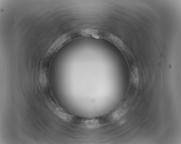 X0000080750426200612151319
