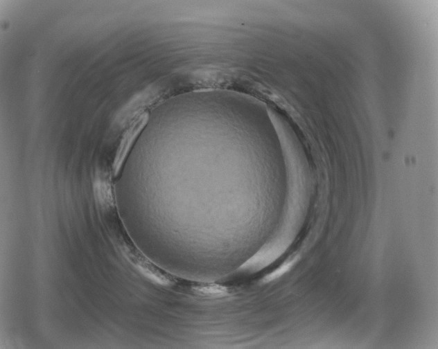 X0000080750432200612151319