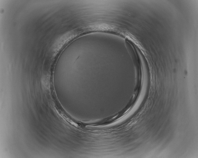 X0000080750434200612151318