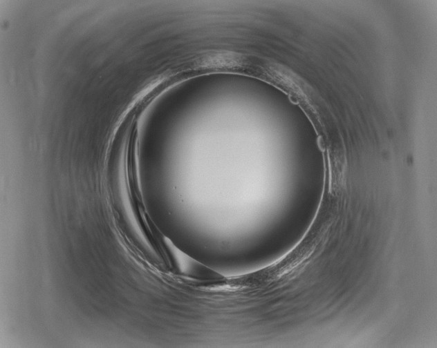 X0000080750435200612151318