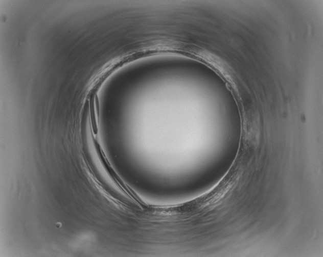 X0000080750437200612151318