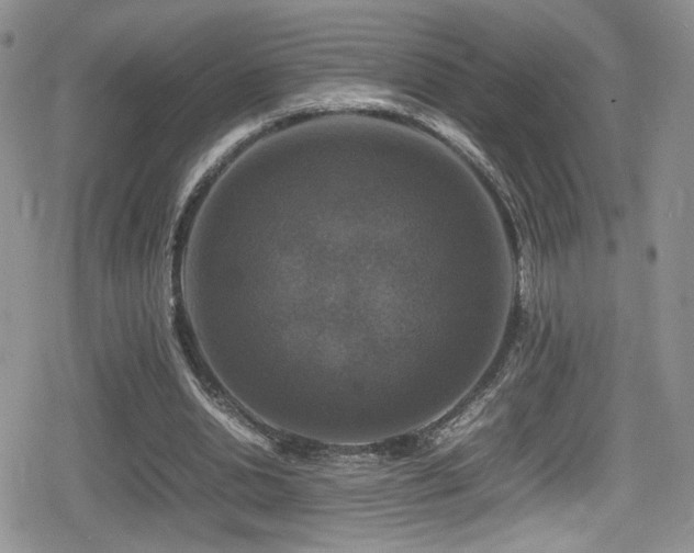 X0000080750438200612151318