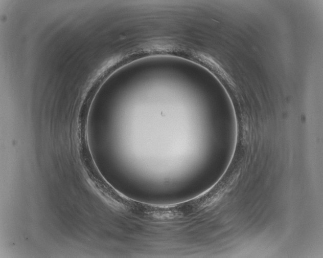 X0000080750439200612151318