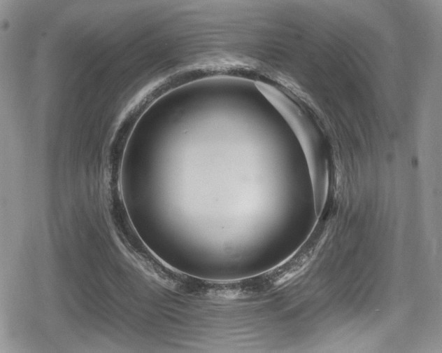 X0000080750440200612151318
