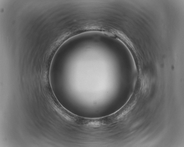 X0000080750441200612151318