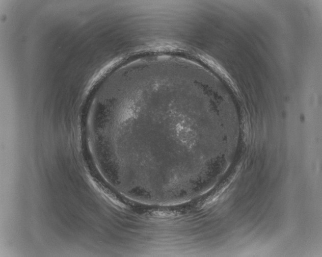 X0000080750442200612151318
