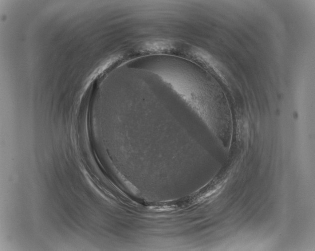 X0000080750443200612151318