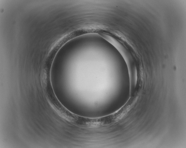X0000080750448200612151318