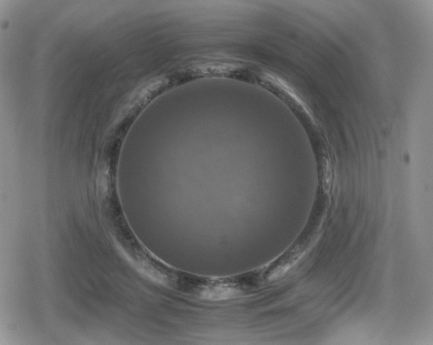 X0000080750451200612151319