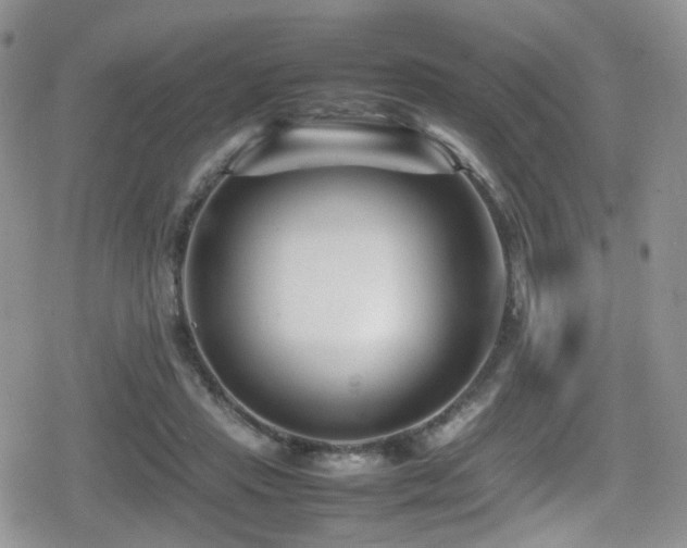 X0000080750453200612151319