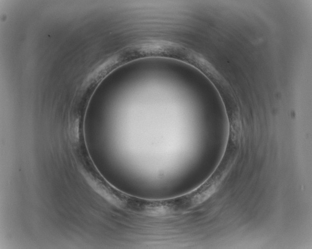 X0000080750454200612151319