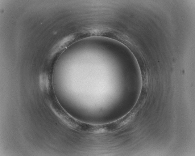 X0000080750456200612151319