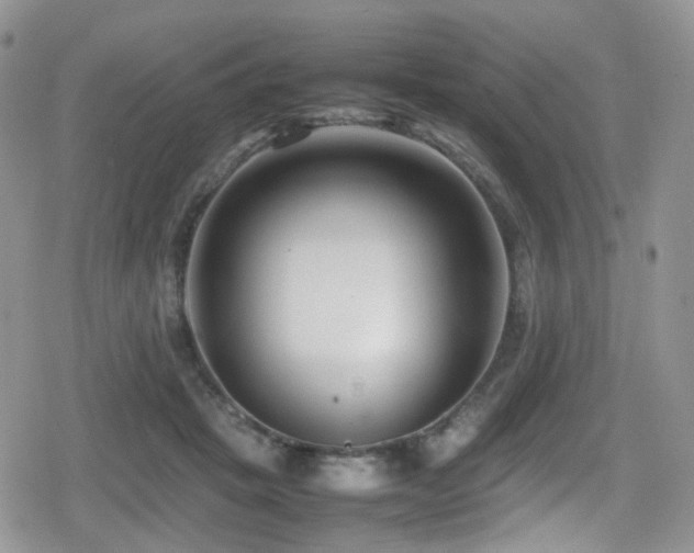 X0000080750457200612151319