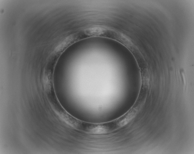 X0000080750460200612151319