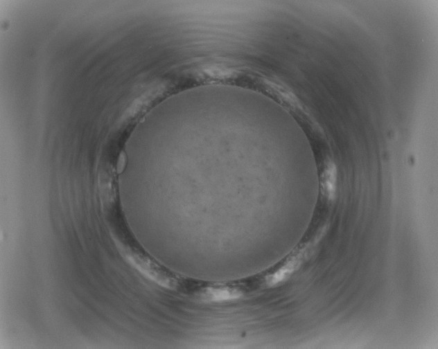 X0000080750464200612151319