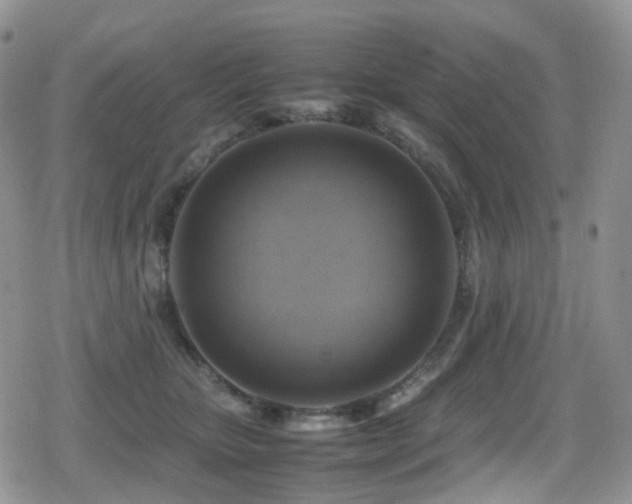 X0000080750467200612151319