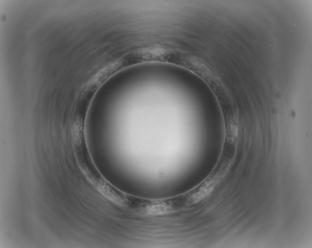 X0000080750468200612151319