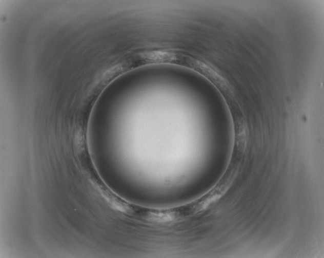 X0000080750469200612151319