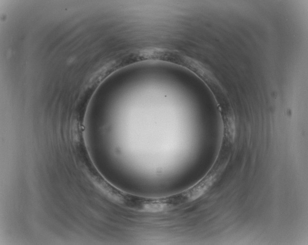 X0000080750470200612151319