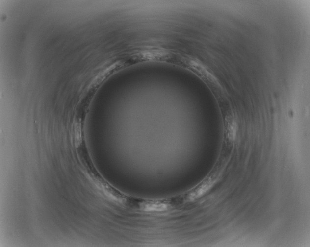 X0000080750471200612151319