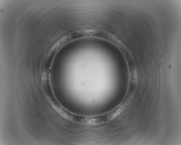 X0000080750472200612151319