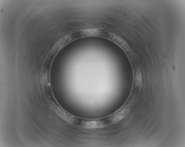 X0000080750473200612151319
