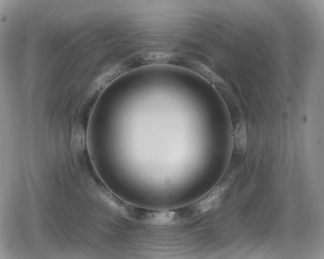 X0000080750474200612151319